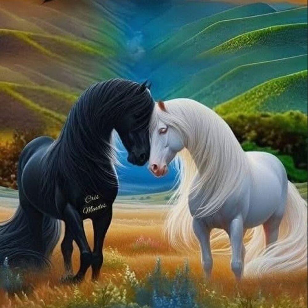 HORSES  POSTER